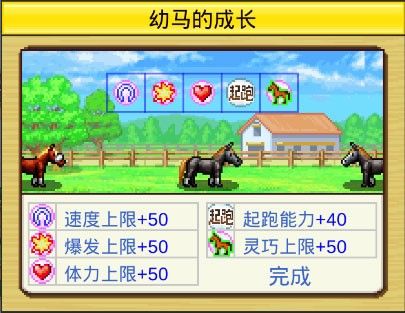 赛马牧场物语中文版