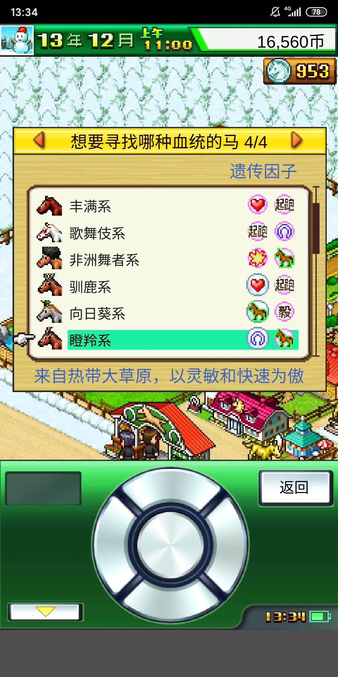 赛马牧场物语中文版