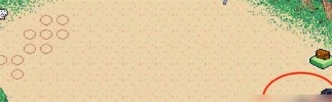 寻找夏日的宝物