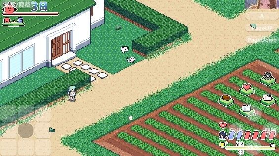 寻找夏日的宝物