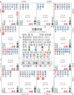 文墨天机专业版