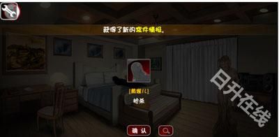 口袋侦探2汉化版