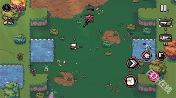 AK蝾螈突袭大作战