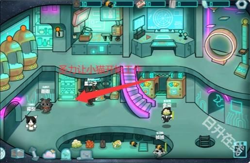 卵生猫之星际海贼团