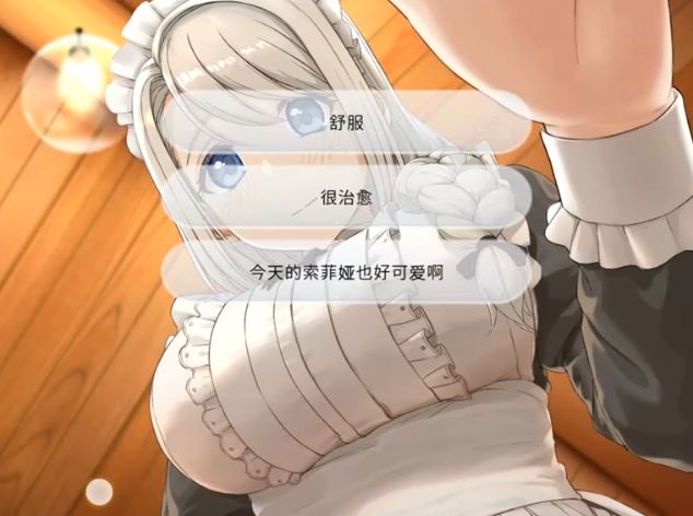 我与索菲亚的秘密