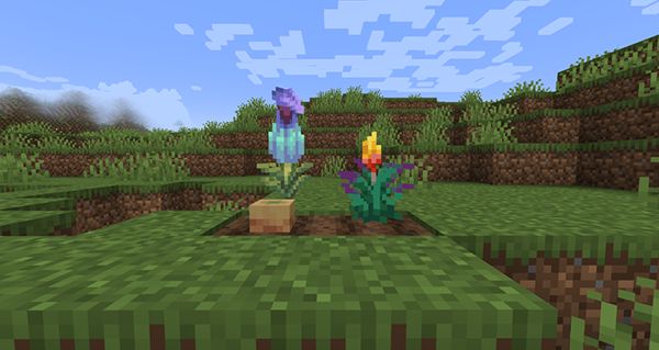 我的世界基岩版珍妮模组