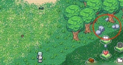 寻找夏日的宝物