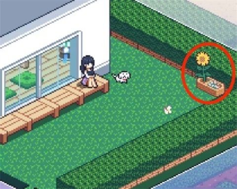 寻找夏日的宝物