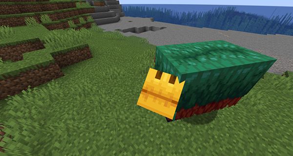 我的世界基岩版珍妮模组