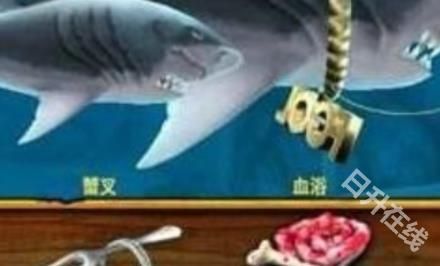 饥饿鲨进化