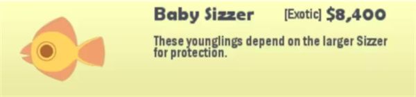 小猫钓鱼有船版本