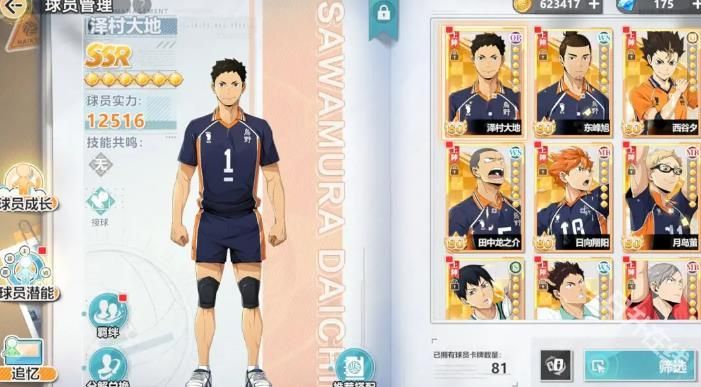 排球少年新的征程