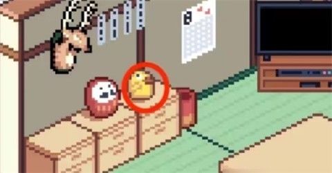 寻找夏日的宝物