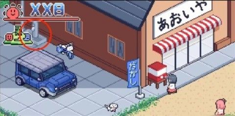 寻找夏日的宝物