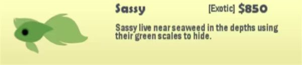 小猫钓鱼有船版本