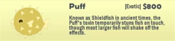 小猫钓鱼有船版本