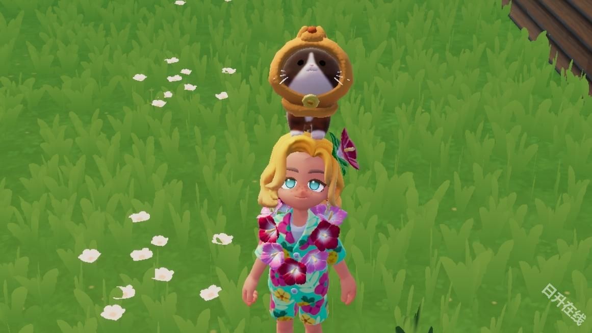 心动小镇国际服