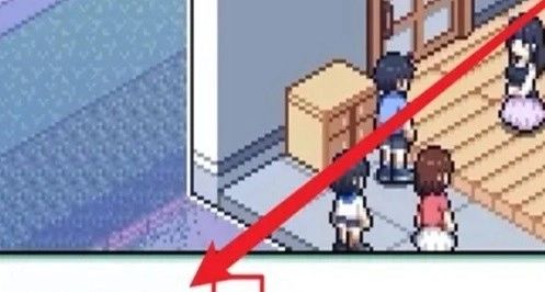 寻找夏日的宝物