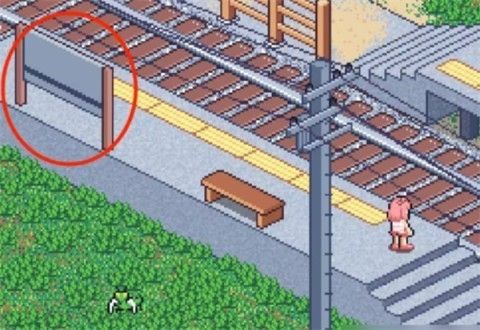 寻找夏日的宝物