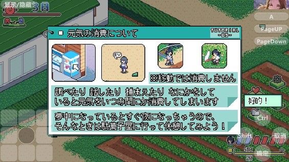 寻找夏日的宝物