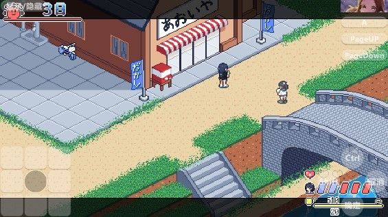 寻找夏日的宝物