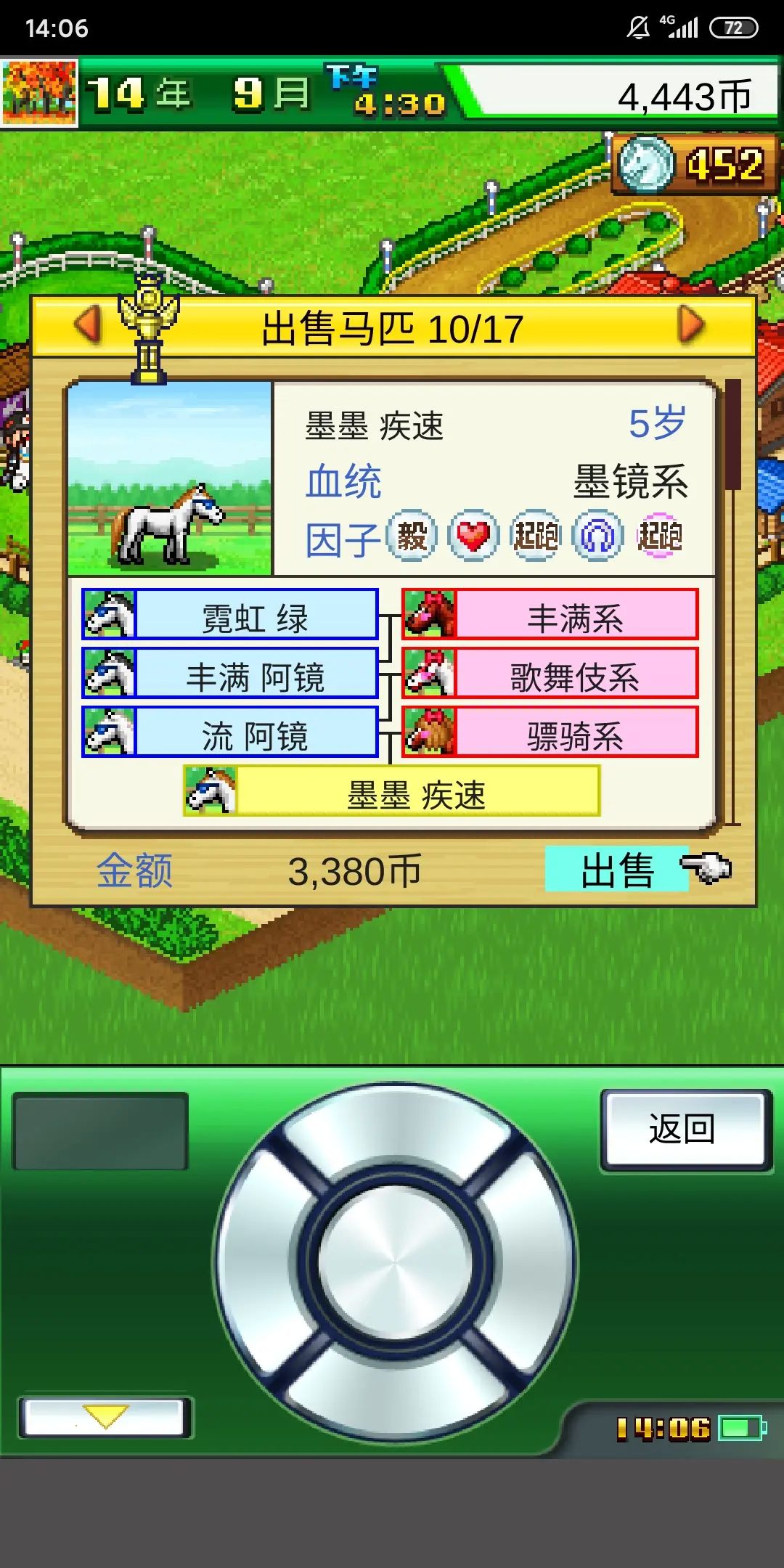 赛马牧场物语中文版