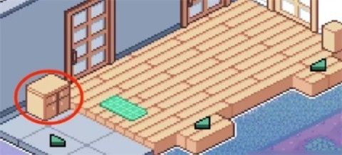 寻找夏日的宝物