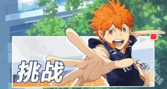 排球少年新的征程