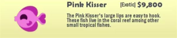 小猫钓鱼有船版本