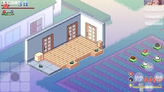 寻找夏日的宝物