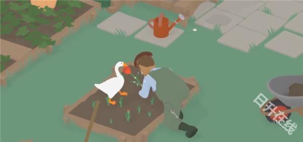 捣蛋鹅双人模式