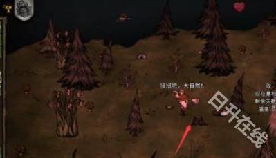 篝火2未知的海岸