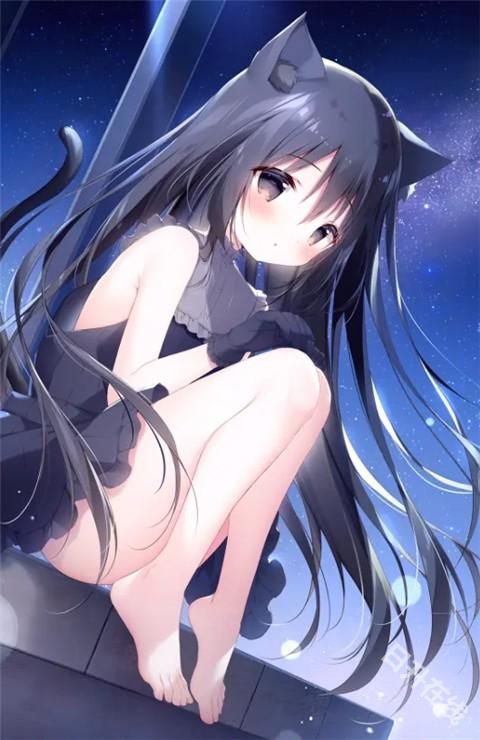 星空列车与白的旅行