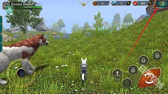 狼传说家园与爱心