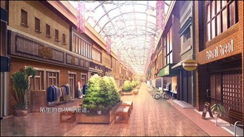 五等分的抢婚二乃篇