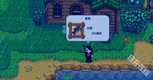 星露谷物语1.6联机版