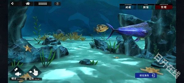 千年之旅官方正版