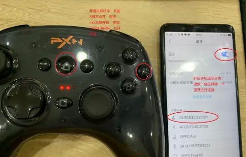 小鸡模拟器TV版