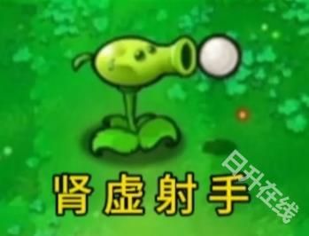 植物大战僵尸逆天版