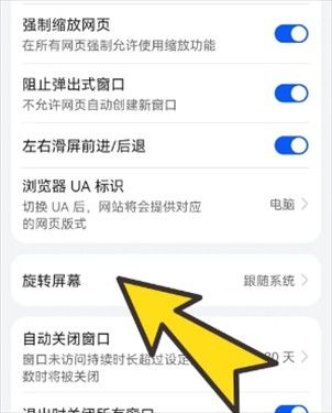 啵啵浏览器蓝标