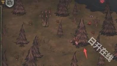 篝火2未知的海岸