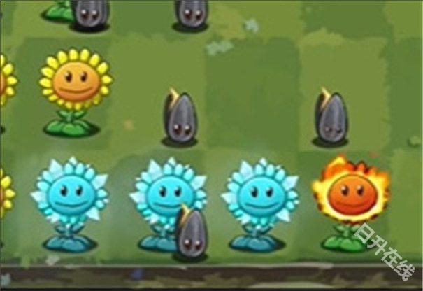 植物大战僵尸转基因版