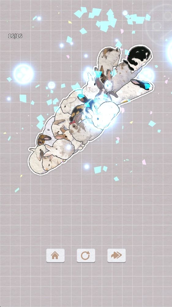 挤在一起的兔兔