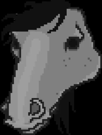 迈阿密热线手机版