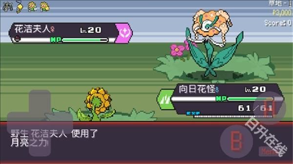 宝可梦肉鸽妖梦