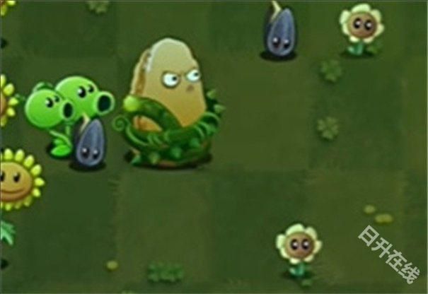 植物大战僵尸转基因版