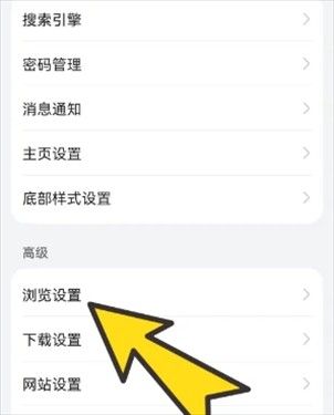 啵啵浏览器蓝标