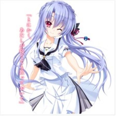 夏日口袋中文版