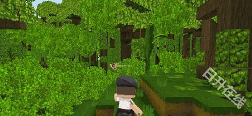 迷你世界雨林版本正版