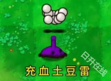 植物大战僵尸逆天版